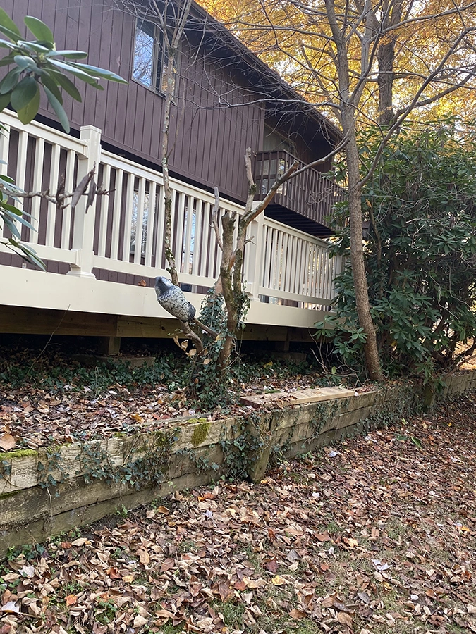 Deck Builder Ellicott City MD 4